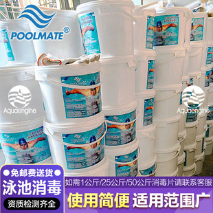 POOLMATE��Ӿ������Ƭ��������2��Ƭ��ͯ�ص���ζ������������Ƭ