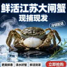 活蟹现发10只装江苏大闸蟹鲜活螃蟹公蟹母蟹礼盒湖鲜河蟹团购批发