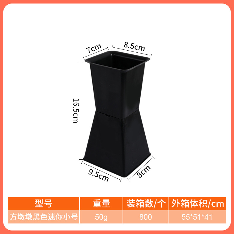 팡둔둔 블랙 핫스타일 미니사이즈