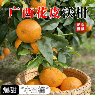 ���ڏV�����Q��Ƥ�ָ����r�Fժ����С����Ƥ����֭�a��һ�����l