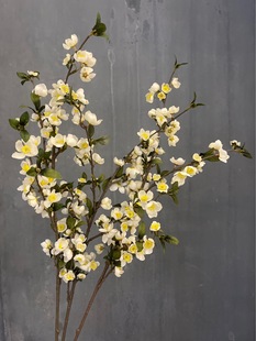 ��Ʒ�|���Ļ��ٻ��ѻ����滨�[���¿�ſ͏d�b��O����diy�^�