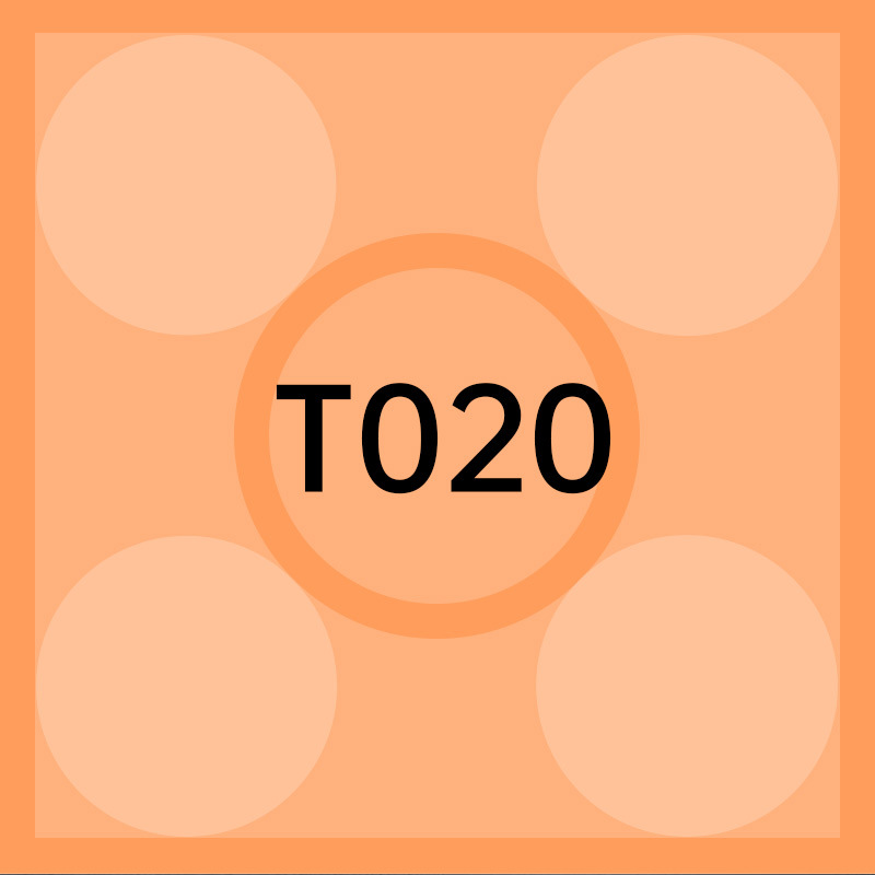T020