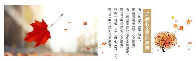 3bd9a18d-0097-4123-85f2-a3c6a83b2fef.jpe