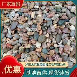 供应 鹅卵石滤料承托层 天然砾石垫层水过滤