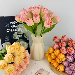 ins�L��������滨�ٻ���߅���滨�͏d�[�O��ˇ�b[���羳���N
