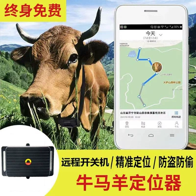 Wireless Global Tracker, GPS Locator