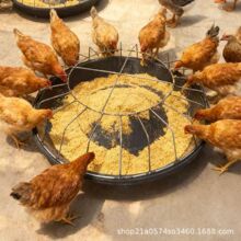 ι�u����ʳ���B�u�Ԅ�ιʳ��ɢ�B�uι�u�����򲻷��u���Zţ����