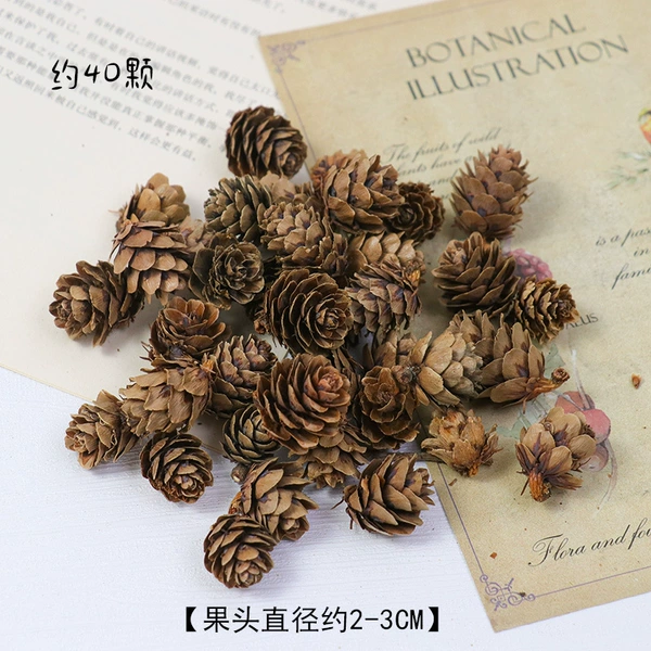 2-3cm larch/30g