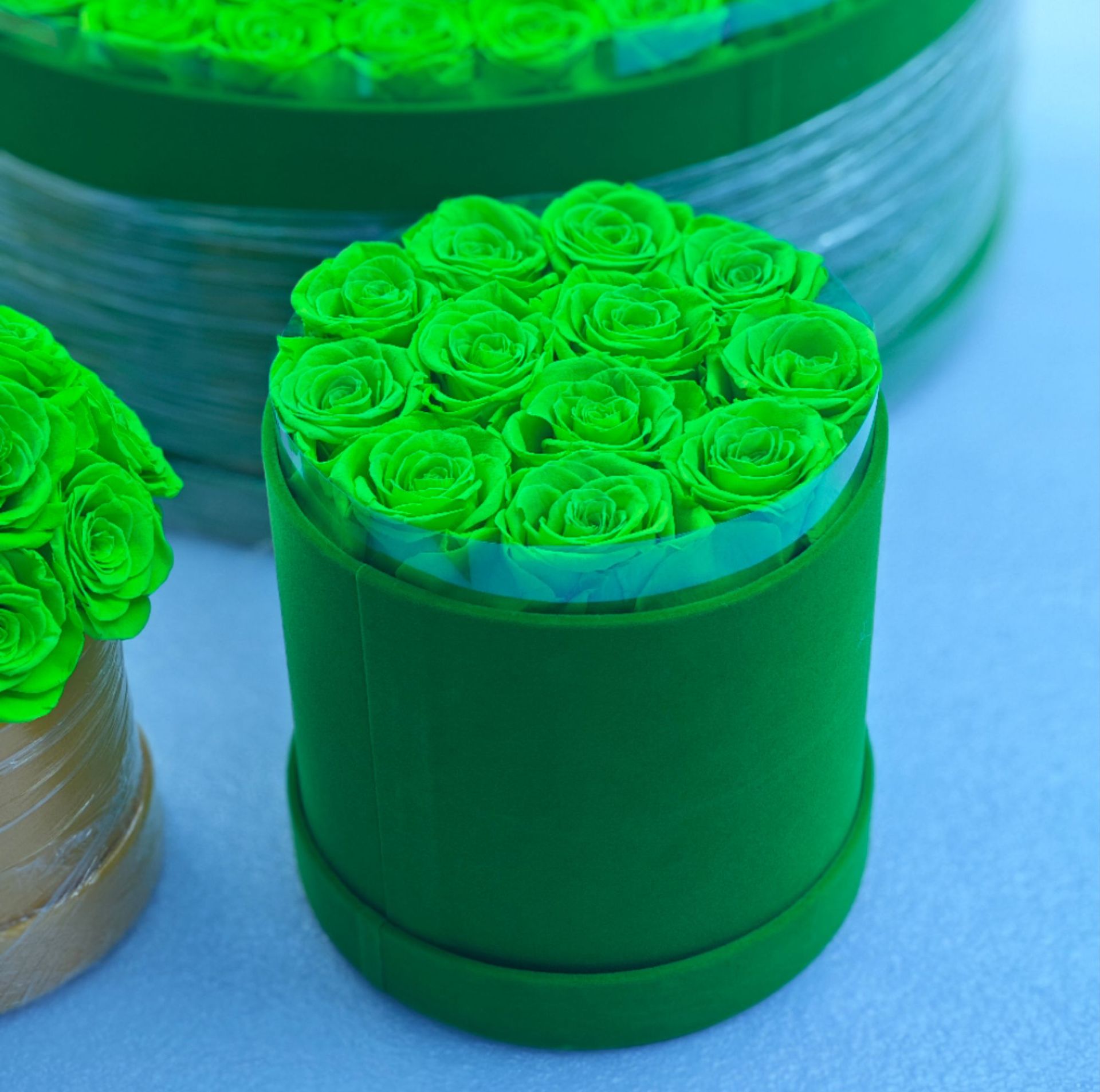 장미 12송이 버킷