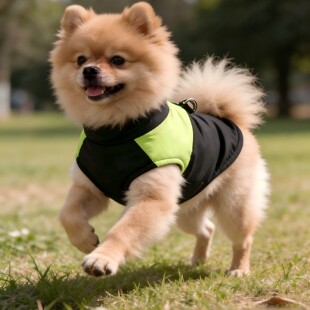 �羳����������ů��ѩ�����L�_�h�¼Ӻ���q����������Ʒ���l