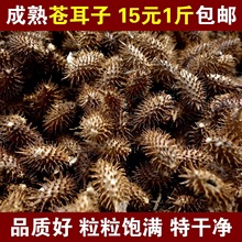 �n�������n���ӱ��n����ë�n����؛��؛