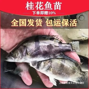 �Z�~����~����~��·�����Z�~�絭ˮ�~��ˮ�a�Bֳ�����