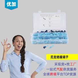 300只盒装连接器套件-绝缘配T型端子 蓝色尼龙免破线接线端子