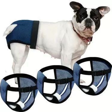 Товары для домашних животных Собака физиологические брюки для суки месячный брюки Тетя брюки безопасности Собака гигиенические подгузники Собака анти-домогательские брюки