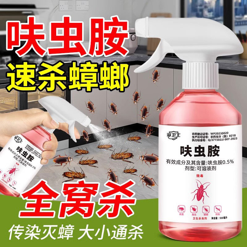 dy 핫 모델 300ML [도매 가능]