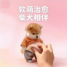 �ɐ۽≺��ײ�N�T���ַ���ײ�|���T���ײ�l�w�������T�N�T������