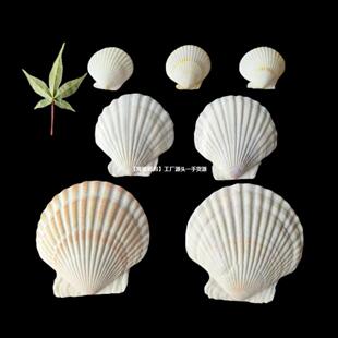 ��Ȼ��ɫ��ؐ ��̖ؐ���Ҿ��b�̨�~���쾰diy�b� ��Ƭ10-14cm