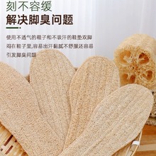 �z�ϽjЬ�|������ʿ����͸�����m��ͯ�\��Ů܊ӖЬ����ȫ�|