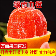 江西赣南血橙脐橙新鲜水果当季孕妇水果甜橙中华红心橙子一件代发