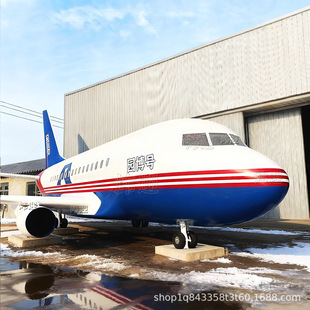 �����w�C�͏d737ģ�M���{�̌W�O���w�Cģ�Mœ�����񺽿͙Cģ��