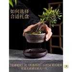 ?盆景花托紫砂托盘花盆接水底盘陶瓷长方形圆盆托花盘底座底托垫