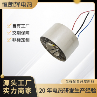 Source Manufacturer High-Speed Hair Dryer Heating Rack Hair Dryer Heating Wire Electric Heating Core Accessories Can Be Processed and Customized