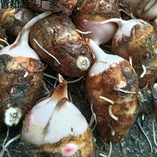�����������r�F�ڼtѿ���^�мt��Сë���^������ܛŴ����羳���