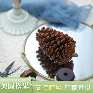 �羳�������ɹ����� �ɻ�diy���ϰ����Ĕ[�����Q���������ɻ����l