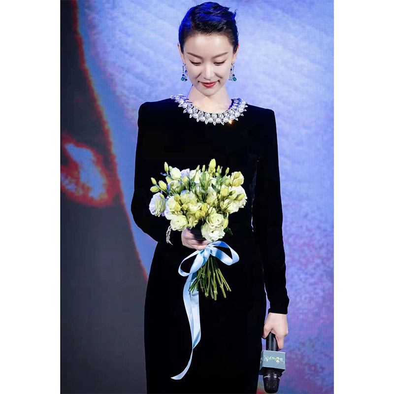 Ni Ni Star Elegant Evening Dress Long Long Sleeve Velvet dress Annual Banquet Women