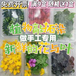 ֲ����Ⱦ�r�� ���M�����r�~�ӻ��ܾGֲ ��ӡֲ�����r����