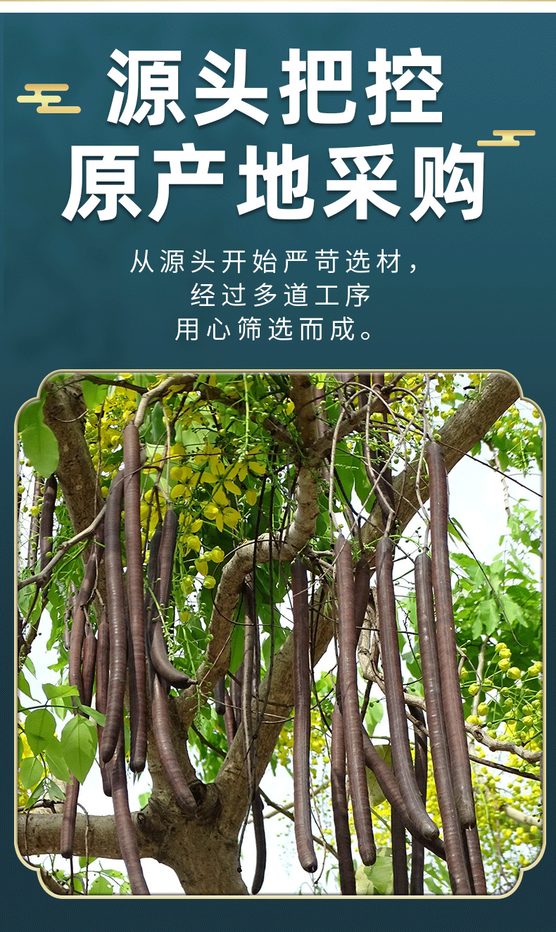 Yunnan Cassia Fruit Cut Segments Da Jie Guo 500g Dried Senna Pods Traditional Herbal Tea Ingredient key features