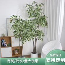 �����߅�Ř�S�����l����С�Ř��辰�����Ƶ��҃����ԾGֲ�[��