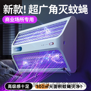 2025�¿�����������ß������҃������������s�������ǳ��