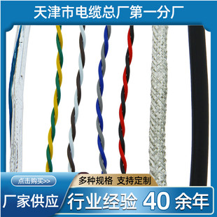 �p�g���ξ� RVSP 2*0.2ÿо12���~�z ���ο�����| �p�����ξ�