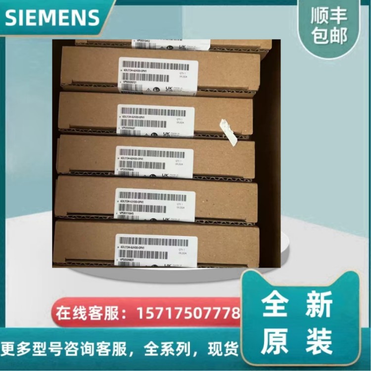 Original 6DL1193-6BH/6TP/6GC/6TP00-0RM0/0BH1/0SM0/8NN0/0DF1/0DM1
