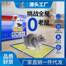 老式强力家用正品粘鼠板捕鼠器抓大老鼠克星加厚老鼠贴厂家批发