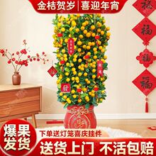 ��ۘ��������������辰�ļ���ۿ�ʳ�Î������Ә����҃ȿ͏d�Gֲ