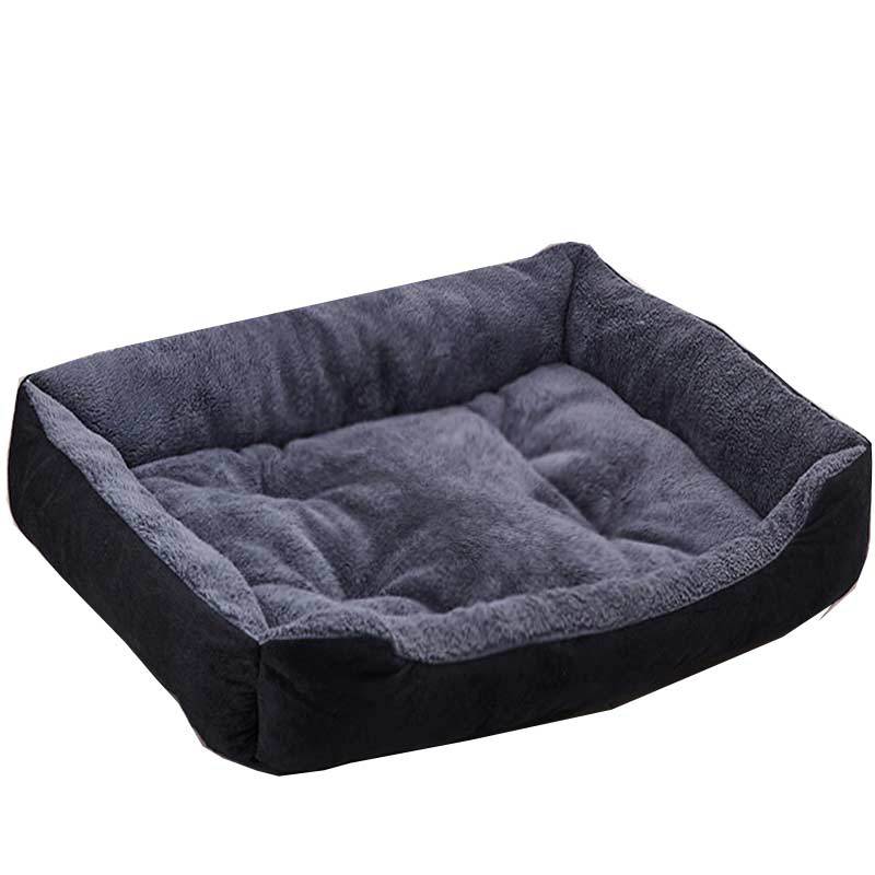 Invierno grueso gato perro