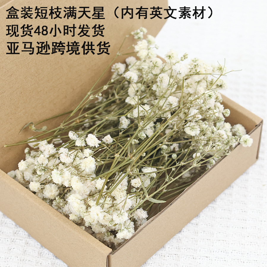 满天星干花永生花diy配材花卉亚马逊跨境货源云南厂家源头直发FBA