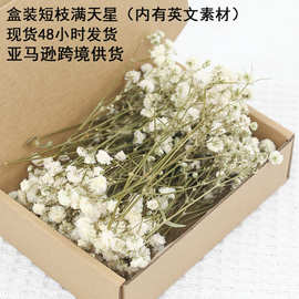 满天星干花永生花diy配材花卉亚马逊跨境货源云南厂家源头直发FBA