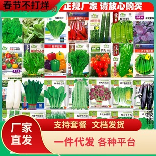 һ�����l�߲˷N���ļ�����ͥ�̨����ͥԺ�uë�˾²��S����������