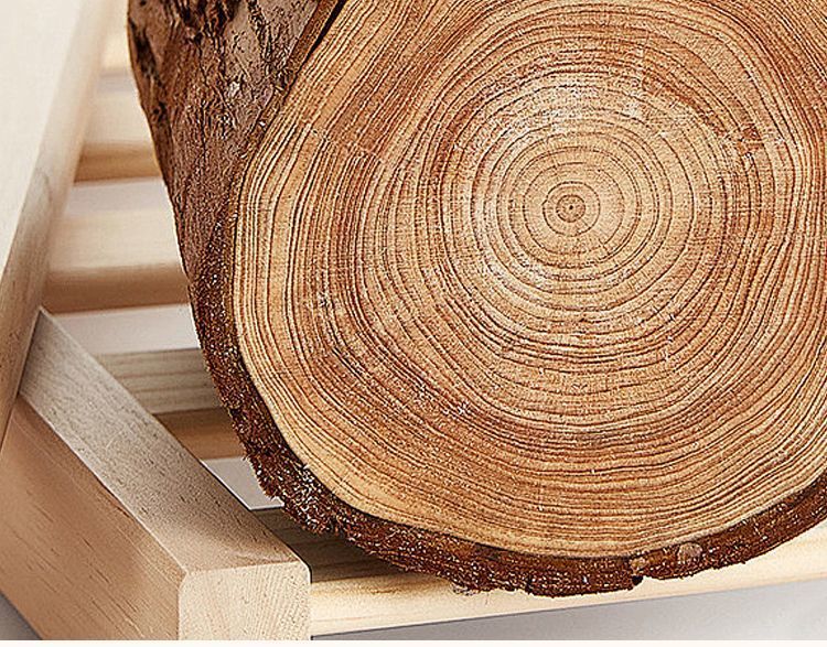 4cf224f9-a0e8-4acf-974e-933cdec046bf.jpe