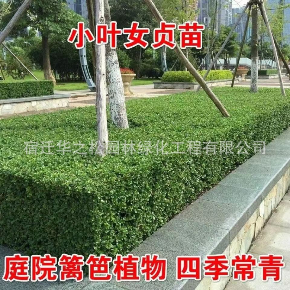 09c3ac2b65fb40d39623f248e3b99f