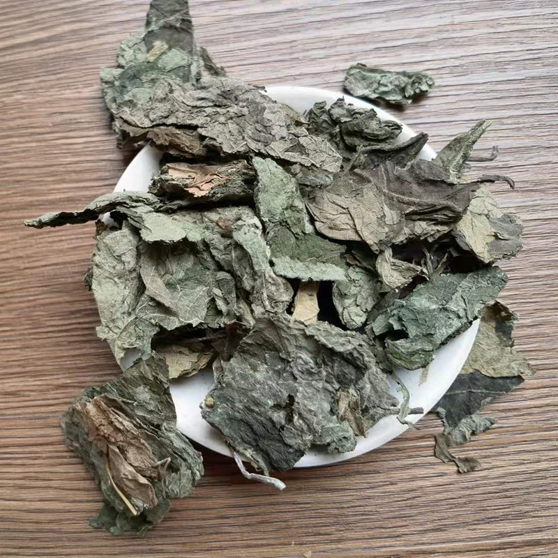 Dried Paper Mulberry Leaves Chu Tao Ye Bulk Herbal Tea Leaves Traditional TCM Botanical key features