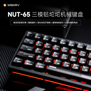 �S���Թ�NUT65��ģ�X����Cе�I�P���ƻ�gasket�Y���׼�늸��Α�