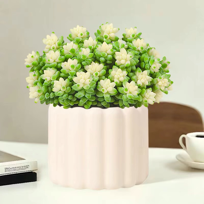 0b04a52e-1623-450c-975c-94a573895541.jpe