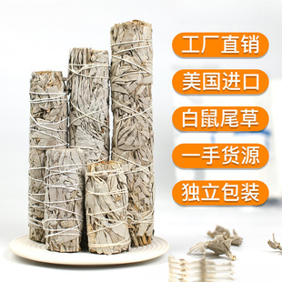 �羳���l����β���{��β��ѩ�����}ľ���������U�~��