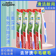 高露洁牙刷硬毛正品清洁中毛牙刷批发成人整箱单支批货家庭装家用