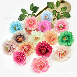 ���滨ĵ������ٻ���c�����b�����������^��L�y���仨