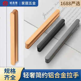 现代简约衣柜柜门把手橱柜家具轻奢门把手工字型加长圆头抽屉拉手